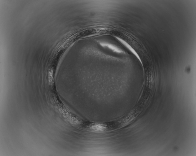 X0000115480610200912040954
