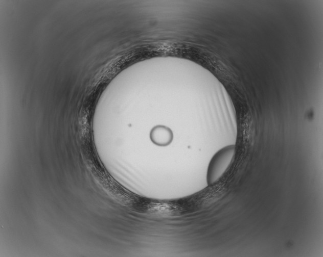 X0000115480611200912040954