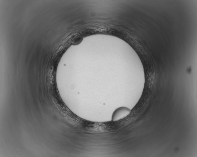 X0000115480612200912040954