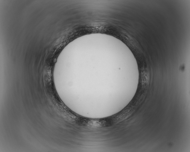 X0000115480613200912040954