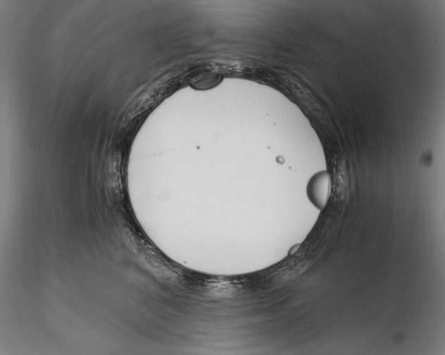 X0000115480616200912040954
