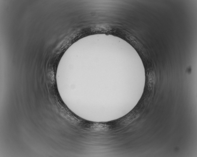 X0000115480617200912040954