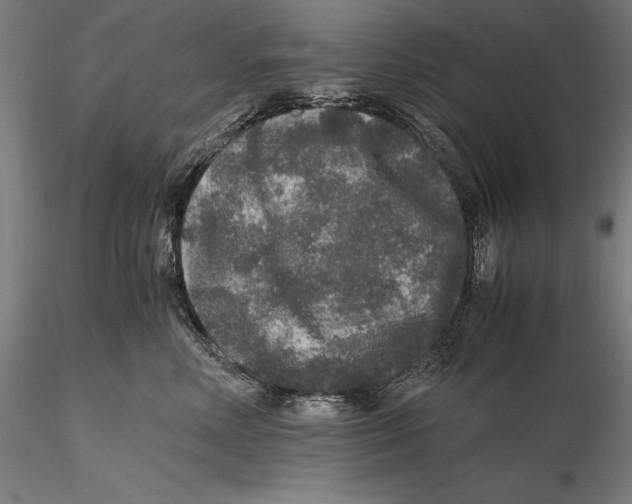 X0000115480618200912040954