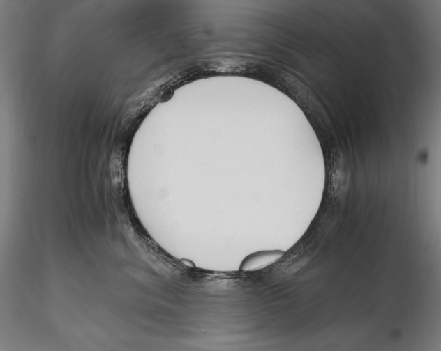 X0000115480620200912040954