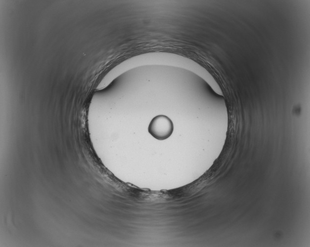 X0000115480621200912040954