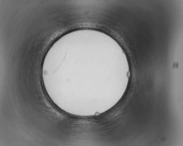 X0000115480625200912040953