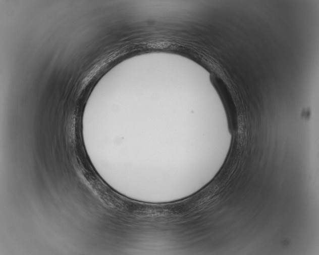 X0000115480626200912040953