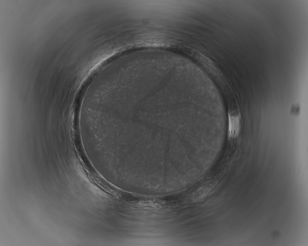 X0000115480627200912040953