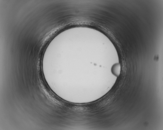 X0000115480629200912040953