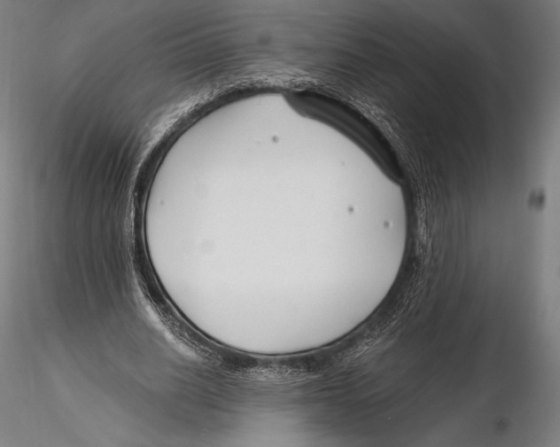 X0000115480630200912040953
