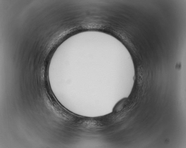 X0000115480631200912040953