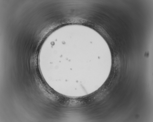 X0000115480632200912040953