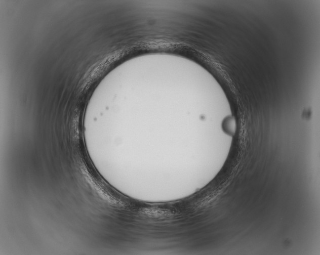 X0000115480633200912040953
