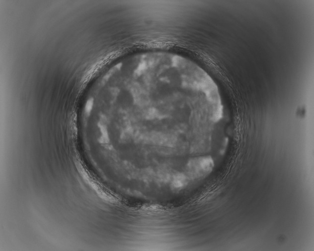 X0000115480634200912040953