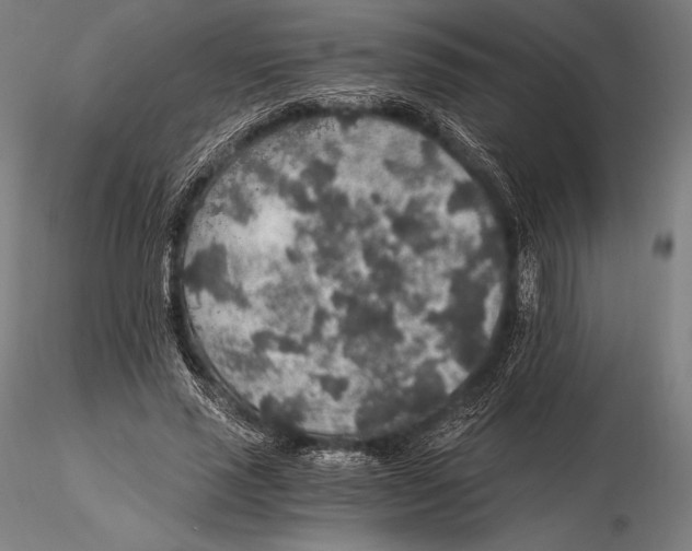 X0000115480637200912040953