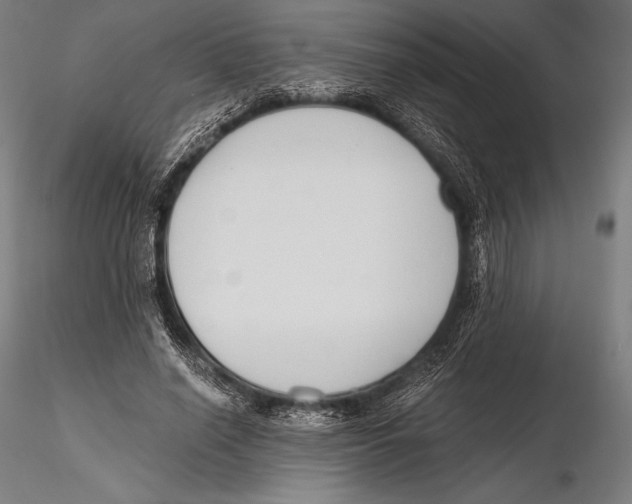 X0000115480638200912040953