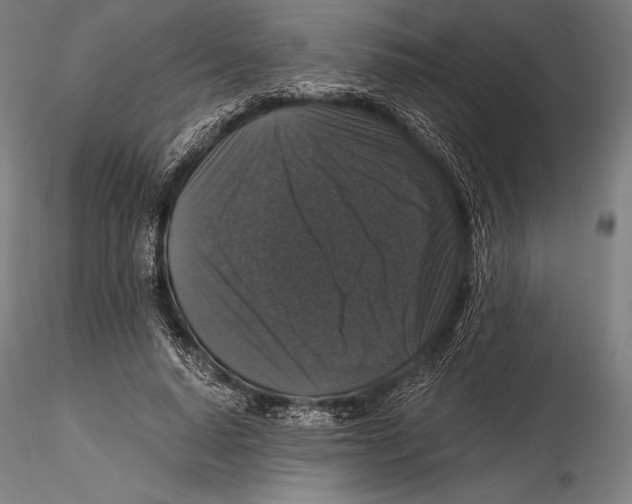 X0000115480640200912040953