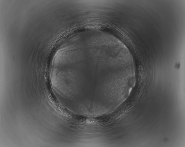 X0000115480641200912040953