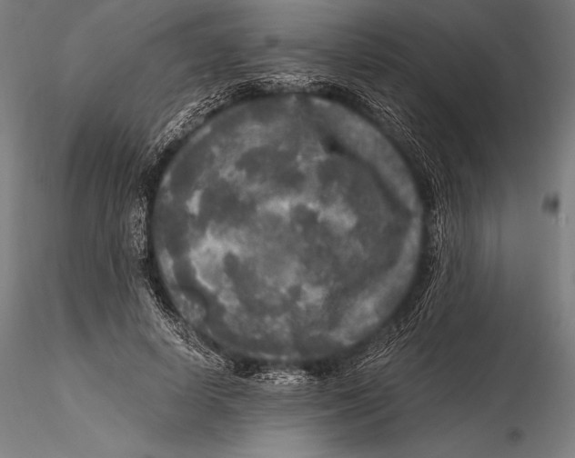 X0000115480642200912040953
