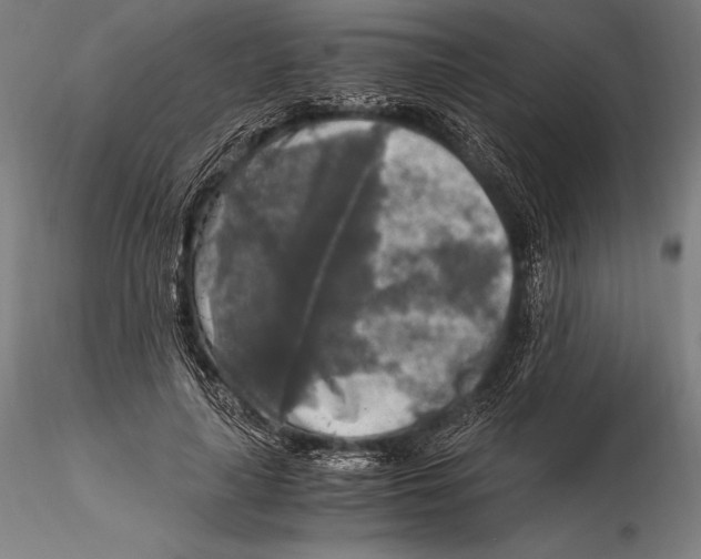 X0000115480643200912040953
