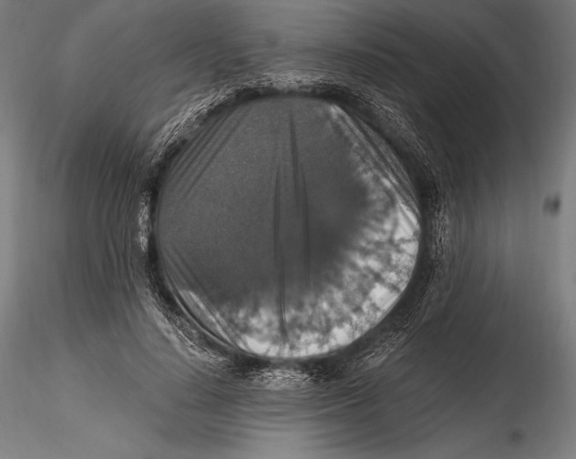 X0000115480644200912040953