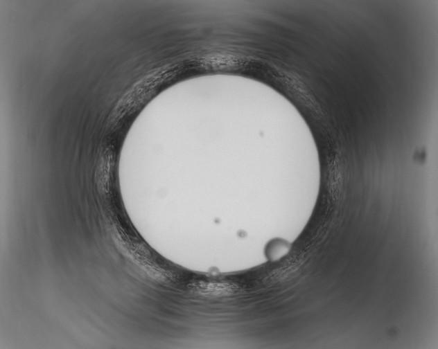 X0000115480645200912040953