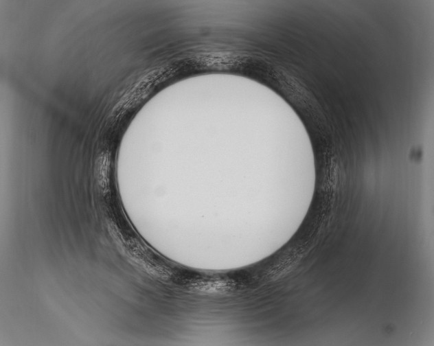 X0000115480646200912040953