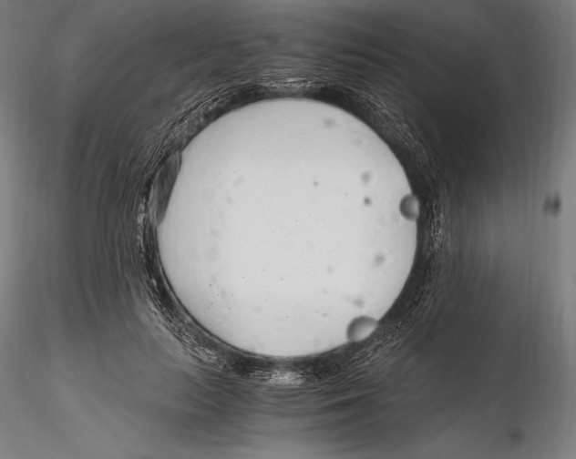 X0000115480647200912040954