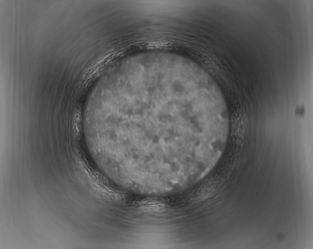 X0000115480648200912040954