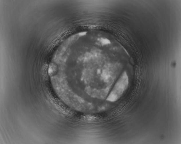 X0000115480650200912040954