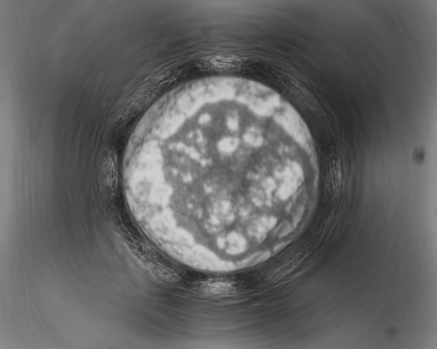 X0000115480651200912040954