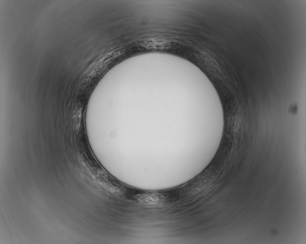X0000115480652200912040954