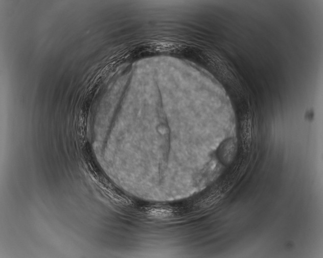 X0000115480653200912040954