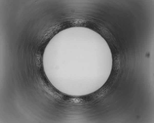 X0000115480654200912040954