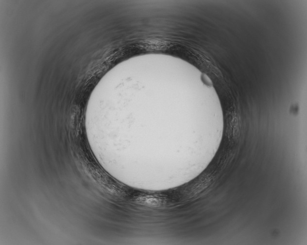 X0000115480655200912040954