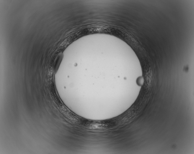 X0000115480657200912040954