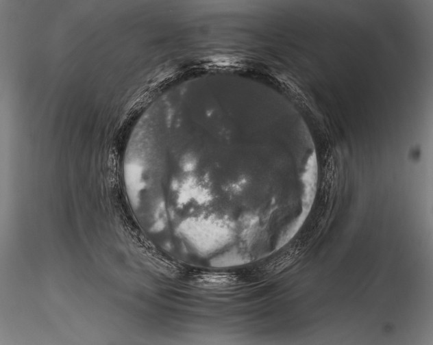 X0000115480659200912040954