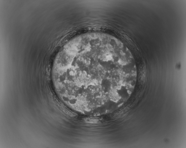 X0000115480661200912040954