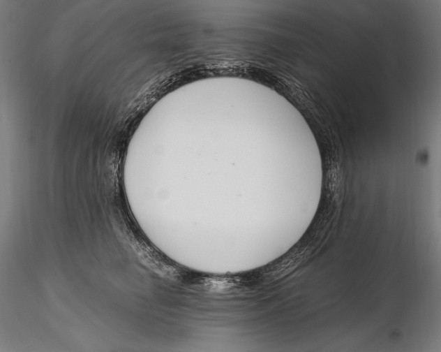 X0000115480662200912040954