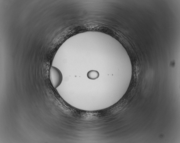 X0000115480664200912040954