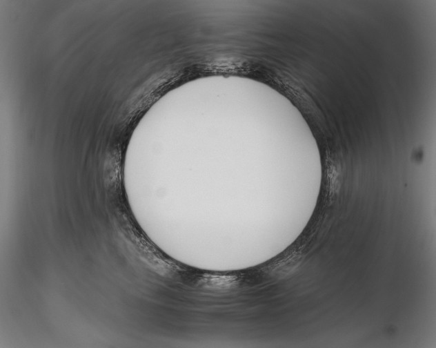 X0000115480665200912040954