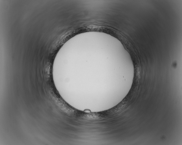 X0000115480668200912040954