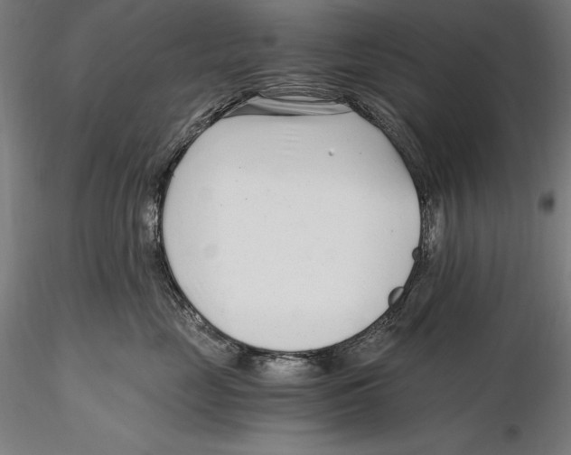 X0000115480669200912040954