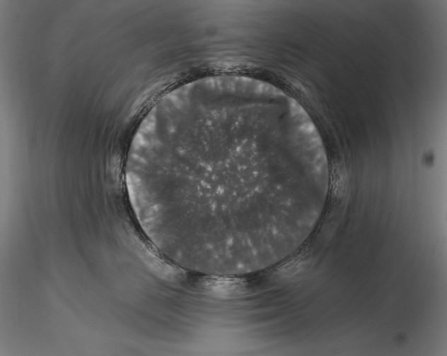 X0000115480670200912040954