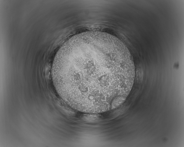 X0000115480671200912040954