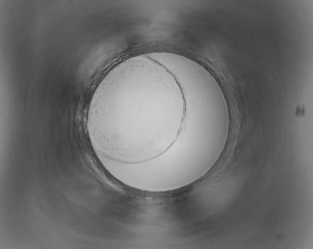 X0000115480672200912040954