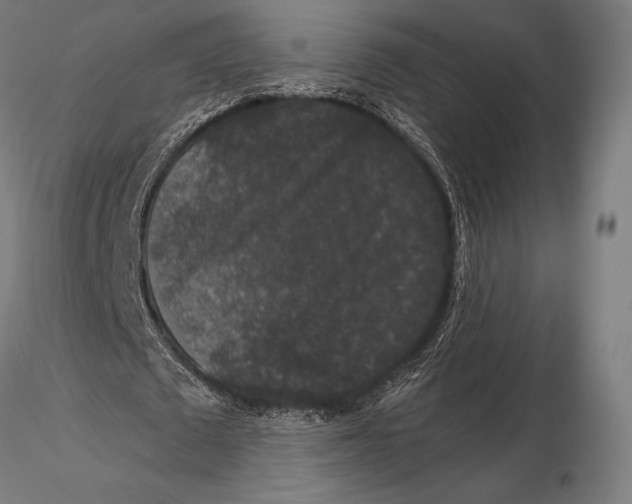 X0000115480673200912040953