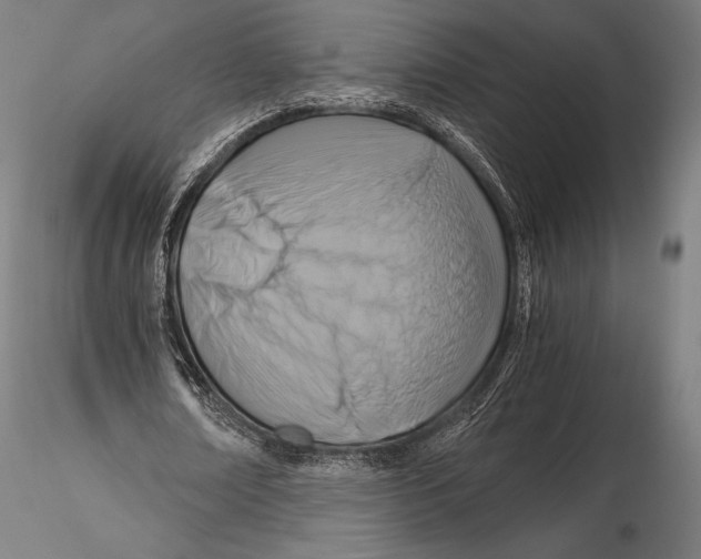 X0000115480674200912040953