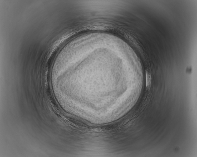 X0000115480675200912040953