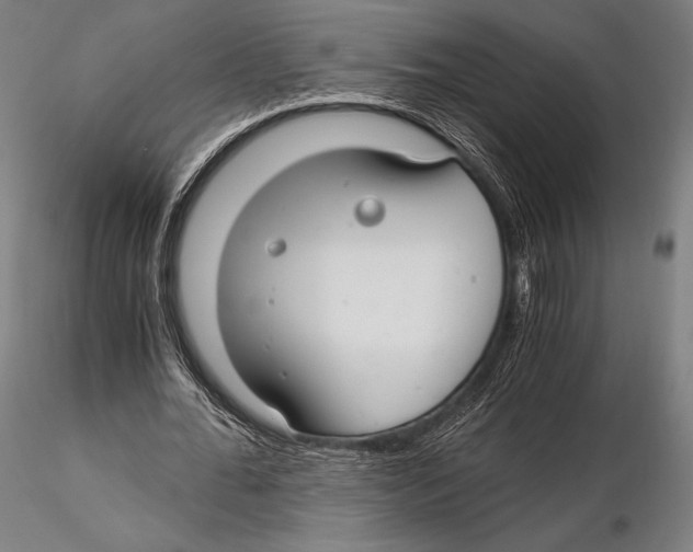 X0000115480676200912040953